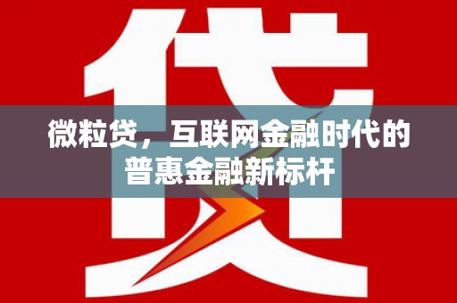 张湾微粒贷，互联网金融时代的普惠金融新标杆