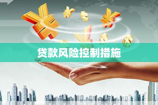 张湾贷款风险控制措施