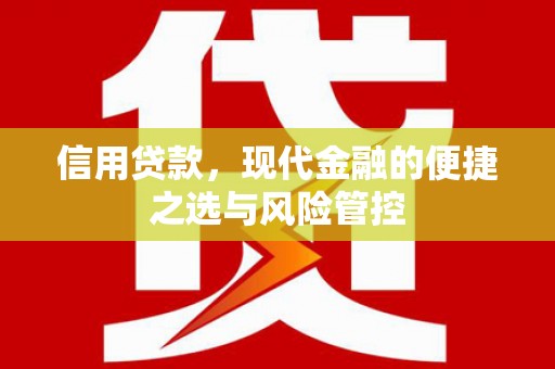 张湾信用贷款，现代金融的便捷之选与风险管控