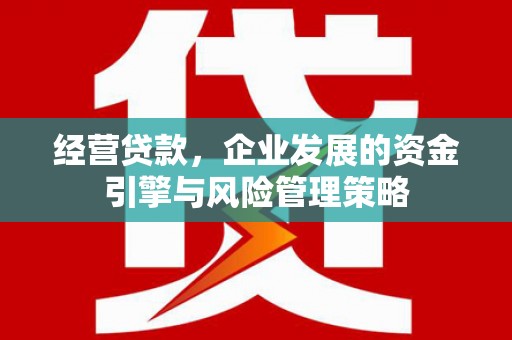 张湾经营贷款，企业发展的资金引擎与风险管理策略