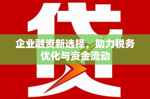 张湾企业融资新选择，助力税务优化与资金流动
