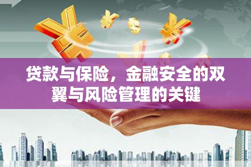 张湾贷款与保险，金融安全的双翼与风险管理的关键