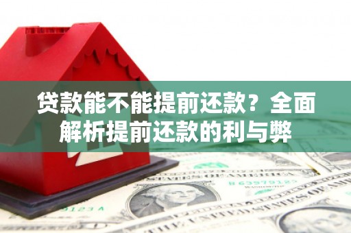 张湾贷款能不能提前还款？全面解析提前还款的利与弊