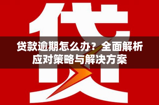 张湾贷款逾期怎么办？全面解析应对策略与解决方案