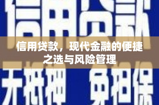 张湾信用贷款，现代金融的便捷之选与风险管理