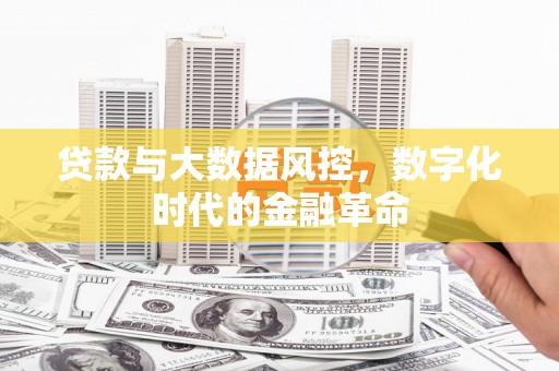 张湾贷款与大数据风控，数字化时代的金融革命