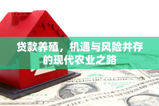 张湾贷款养殖，机遇与风险并存的现代农业之路