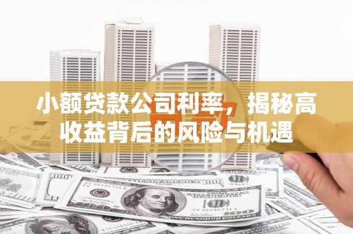 张湾小额贷款公司利率，揭秘高收益背后的风险与机遇