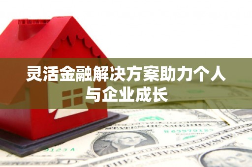 张湾灵活金融解决方案助力个人与企业成长