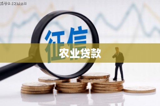 张湾农业贷款
