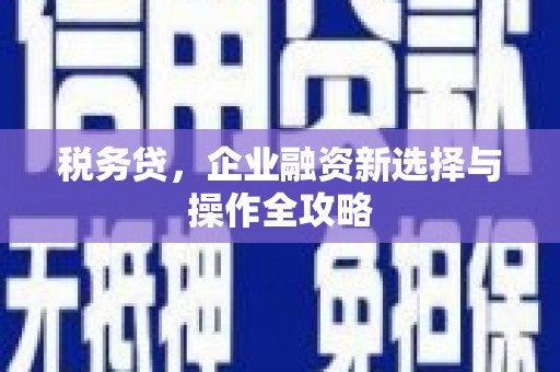 张湾税务贷，企业融资新选择与操作全攻略