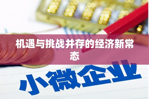 张湾机遇与挑战并存的经济新常态