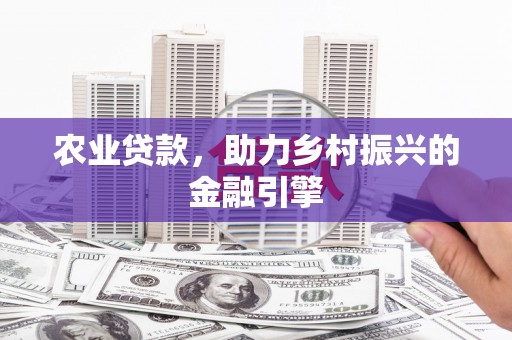 张湾农业贷款，助力乡村振兴的金融引擎