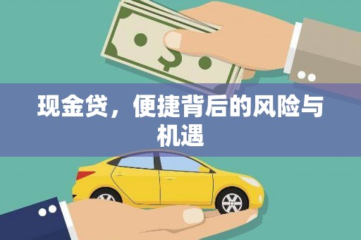 张湾现金贷，便捷背后的风险与机遇