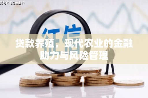 张湾贷款养殖，现代农业的金融助力与风险管理