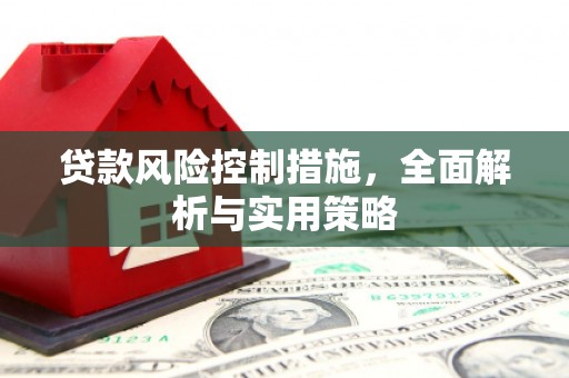 张湾贷款风险控制措施，全面解析与实用策略
