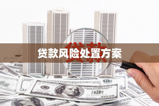 张湾贷款风险处置方案