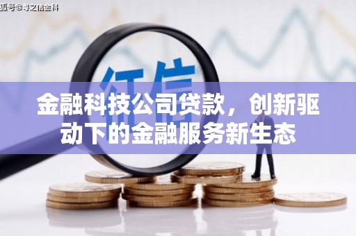 张湾金融科技公司贷款，创新驱动下的金融服务新生态