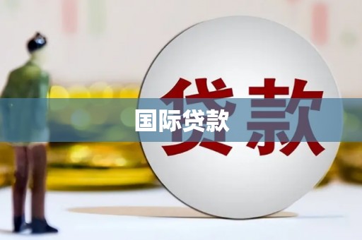 张湾国际贷款