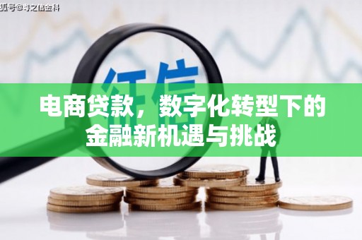 张湾电商贷款，数字化转型下的金融新机遇与挑战