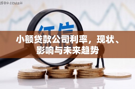 张湾小额贷款公司利率，现状、影响与未来趋势
