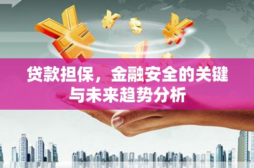 张湾贷款担保，金融安全的关键与未来趋势分析