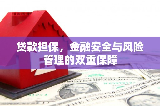 张湾贷款担保，金融安全与风险管理的双重保障