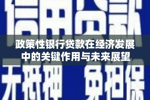 张湾政策性银行贷款在经济发展中的关键作用与未来展望