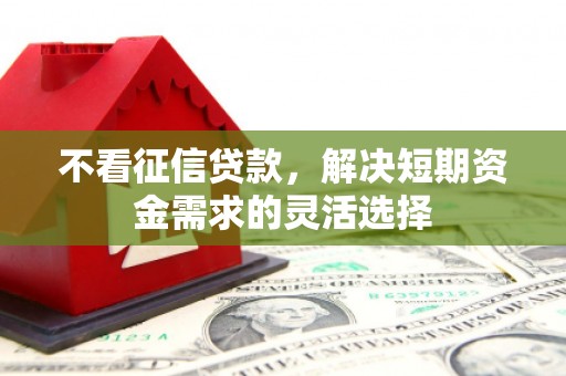 张湾不看征信贷款，解决短期资金需求的灵活选择