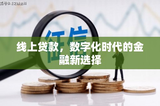 张湾线上贷款，数字化时代的金融新选择
