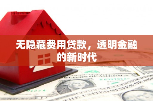 张湾无隐藏费用贷款，透明金融的新时代