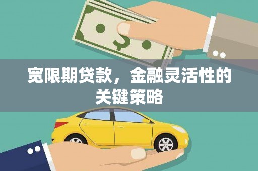 张湾宽限期贷款，金融灵活性的关键策略