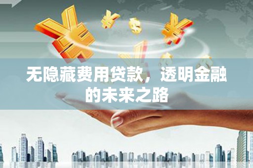 张湾无隐藏费用贷款，透明金融的未来之路