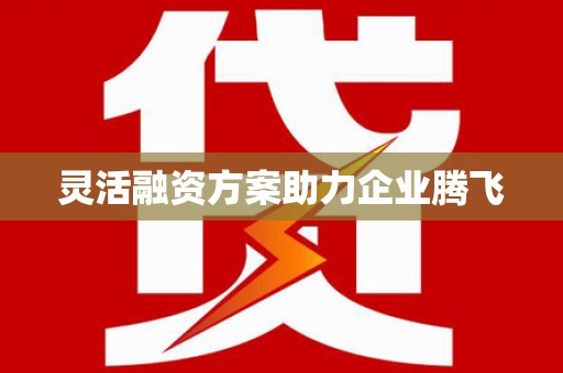 张湾灵活融资方案助力企业腾飞