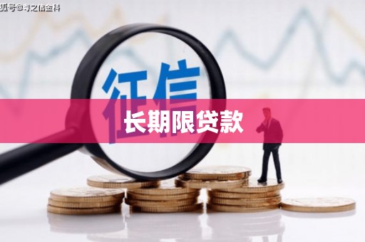 张湾长期限贷款