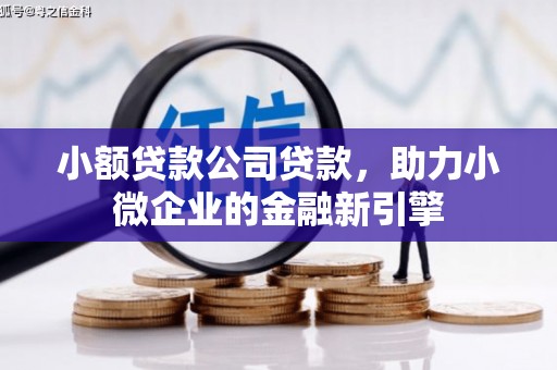 张湾小额贷款公司贷款，助力小微企业的金融新引擎