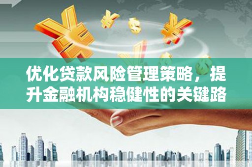 张湾优化贷款风险管理策略，提升金融机构稳健性的关键路径