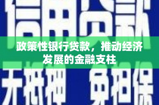 张湾政策性银行贷款，推动经济发展的金融支柱