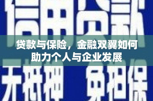 张湾贷款与保险，金融双翼如何助力个人与企业发展