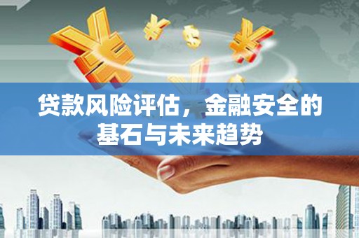 张湾贷款风险评估，金融安全的基石与未来趋势
