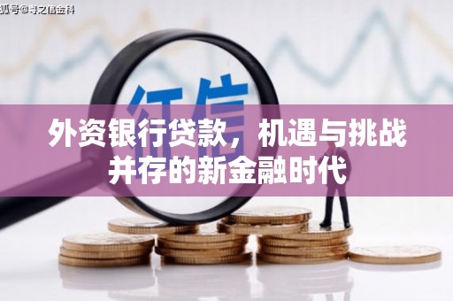 张湾外资银行贷款，机遇与挑战并存的新金融时代