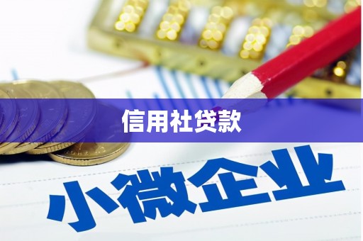 张湾信用社贷款