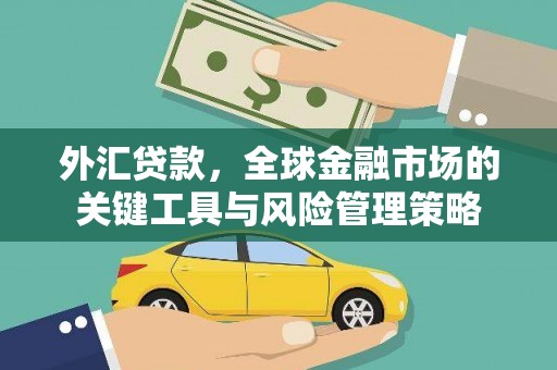 张湾外汇贷款，全球金融市场的关键工具与风险管理策略