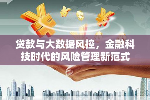 张湾贷款与大数据风控，金融科技时代的风险管理新范式