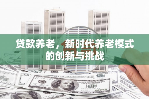 张湾贷款养老，新时代养老模式的创新与挑战