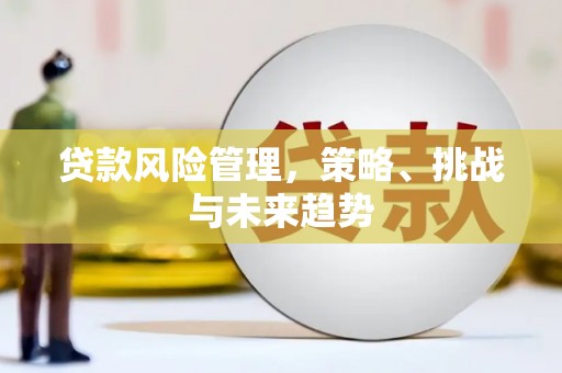 张湾贷款风险管理，策略、挑战与未来趋势
