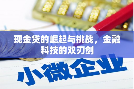 张湾现金贷的崛起与挑战，金融科技的双刃剑