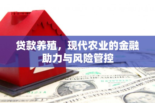 张湾贷款养殖，现代农业的金融助力与风险管控