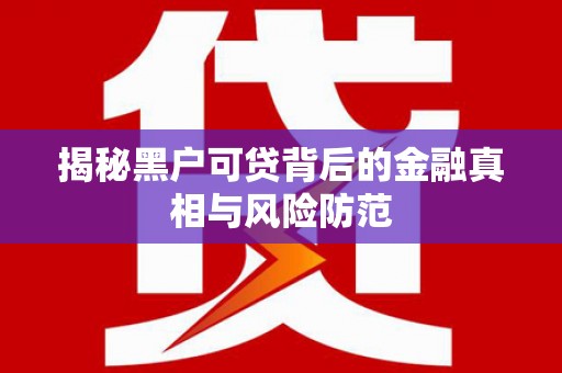 张湾揭秘黑户可贷背后的金融真相与风险防范