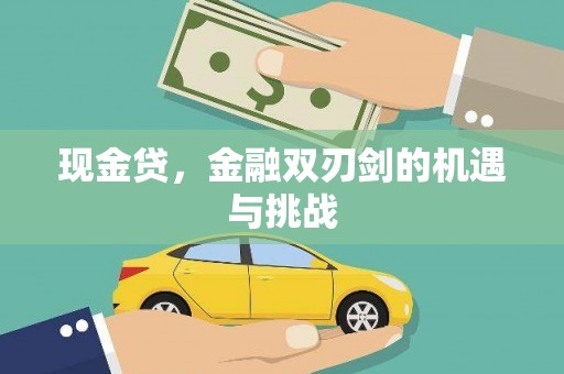 张湾现金贷，金融双刃剑的机遇与挑战